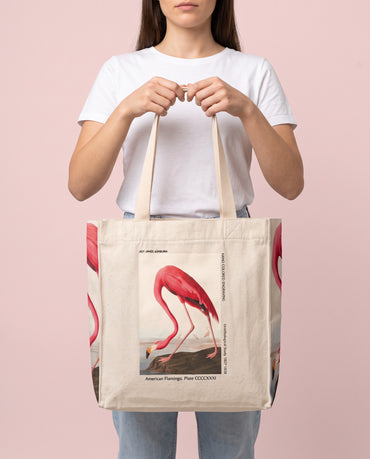 american flamingo On body