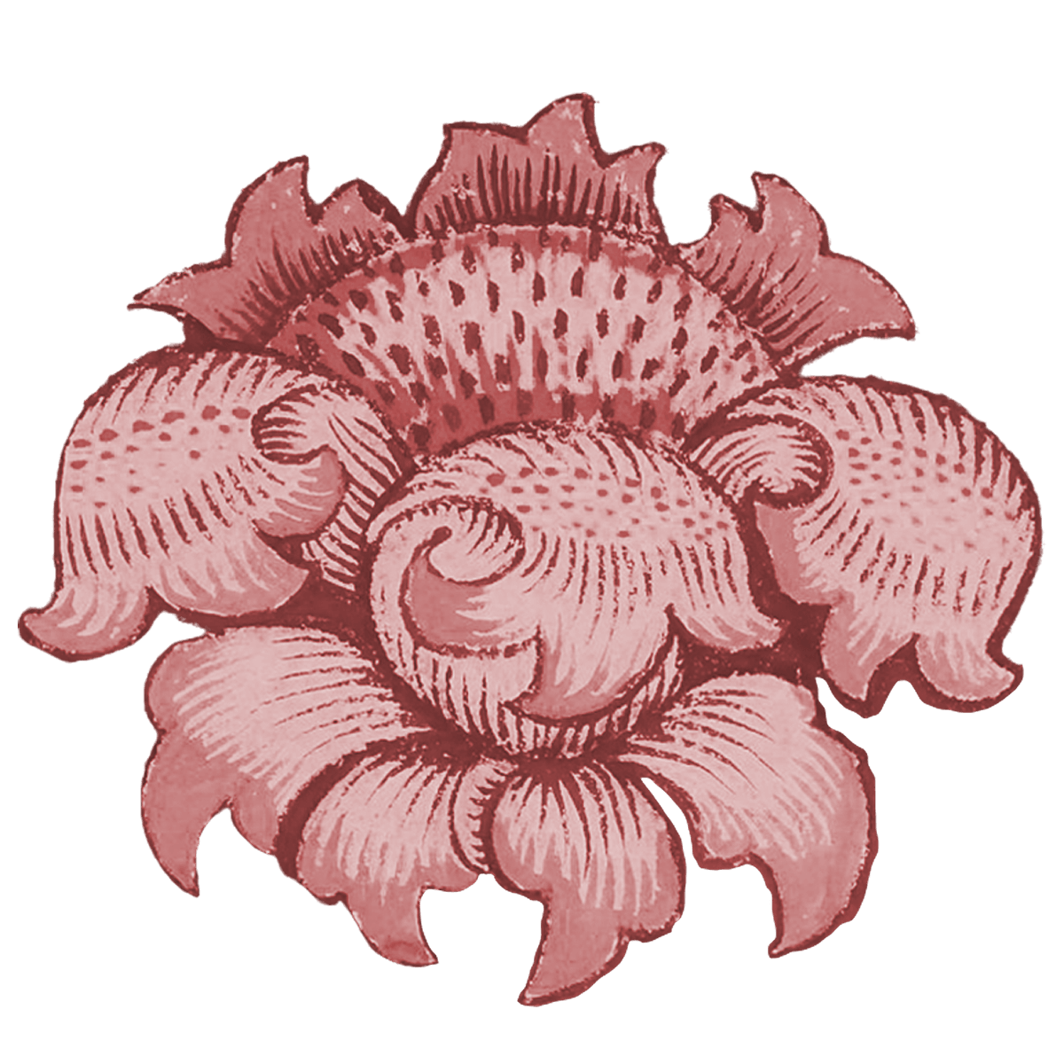 ملصق الوردة الحمراء