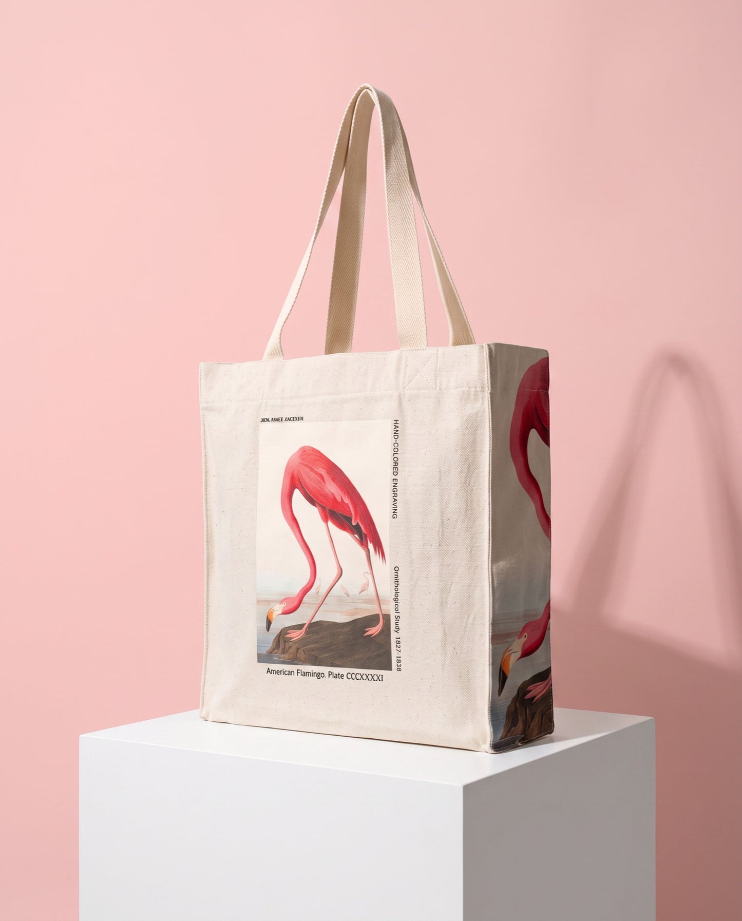 american flamingo Hero