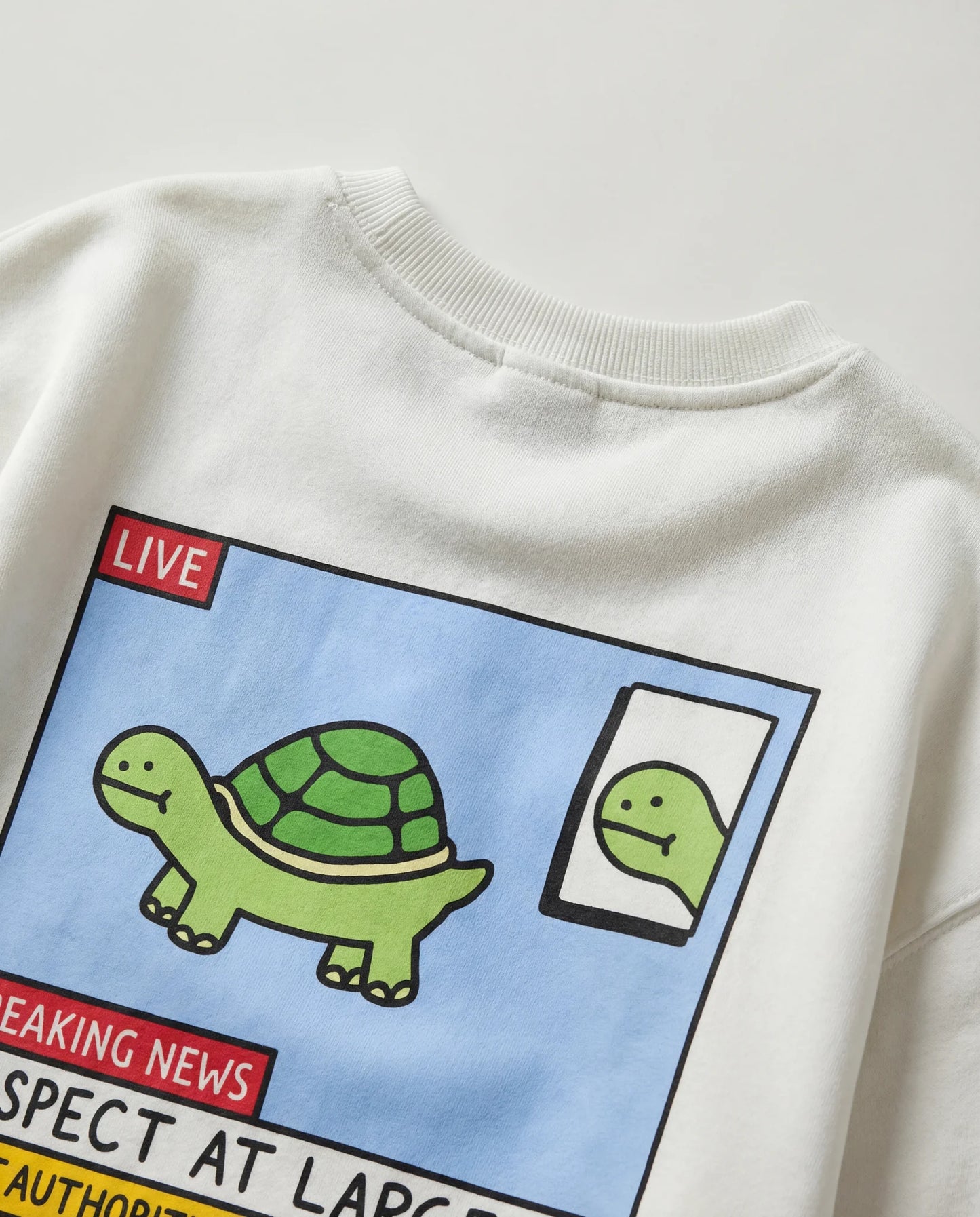 Turtle Escape Sweatshirt - Sweatshirt | My Turtle