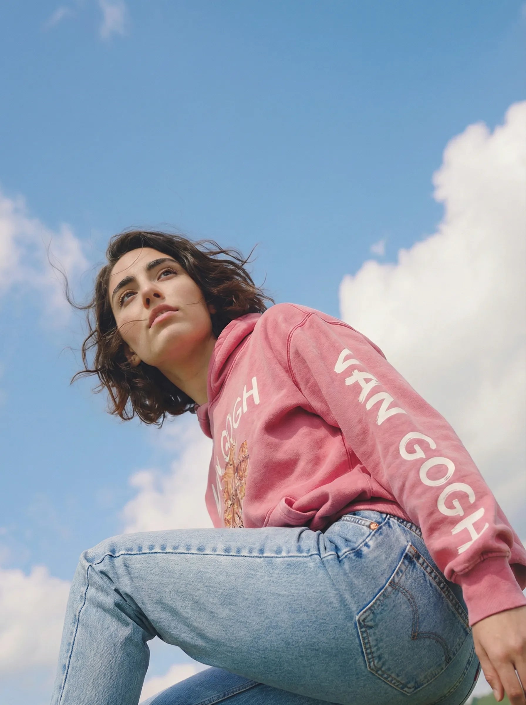 Van Gogh Pink Peach Tree